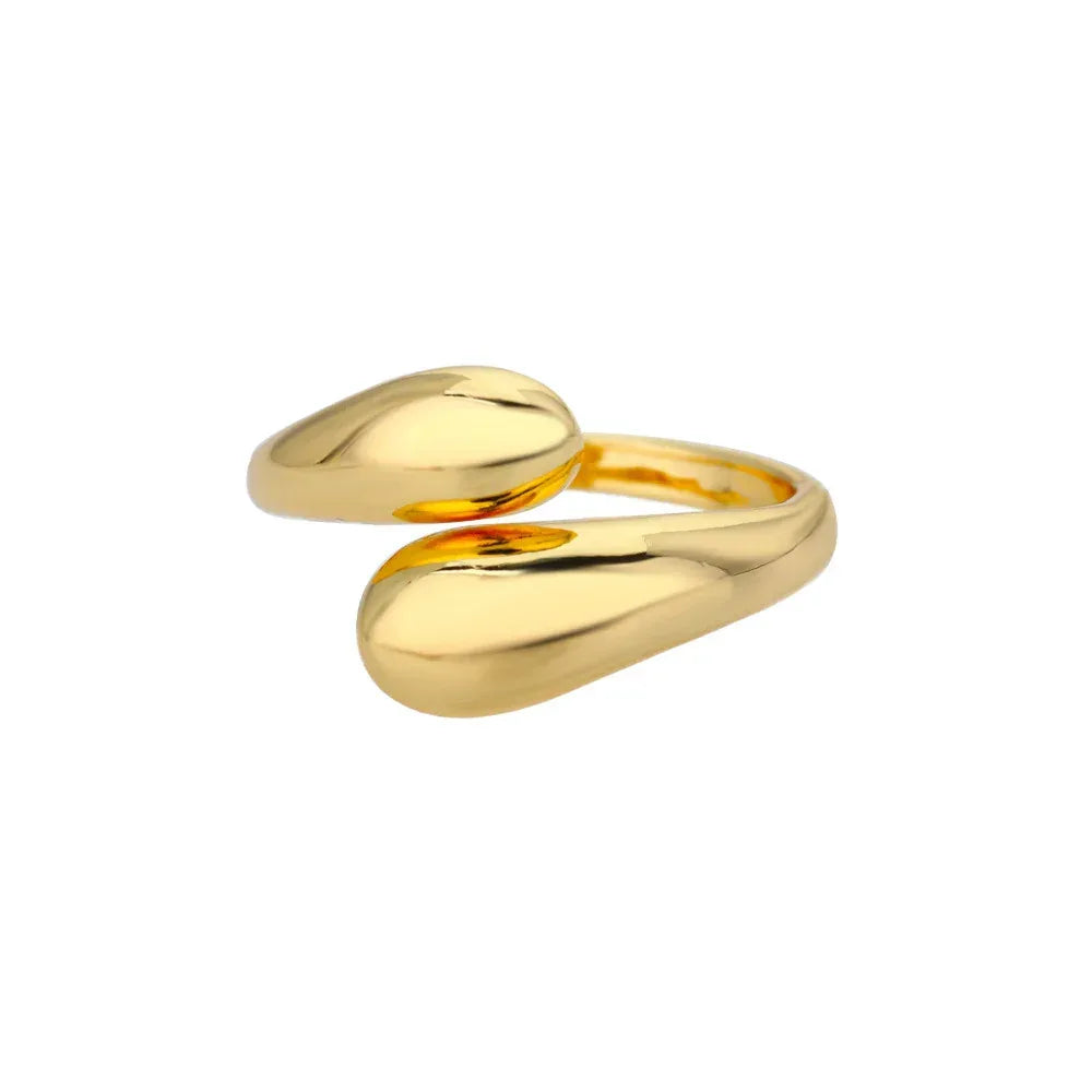 Cold Micro-set Zircon Adjustable Ring - Viexta