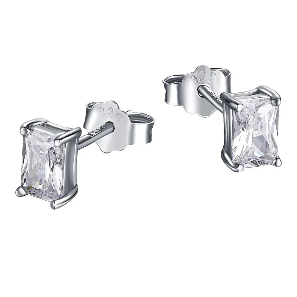 Zircon Inlaid Earrings - Viexta