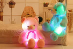 Creative Light Up LED Teddy Bear - Viexta