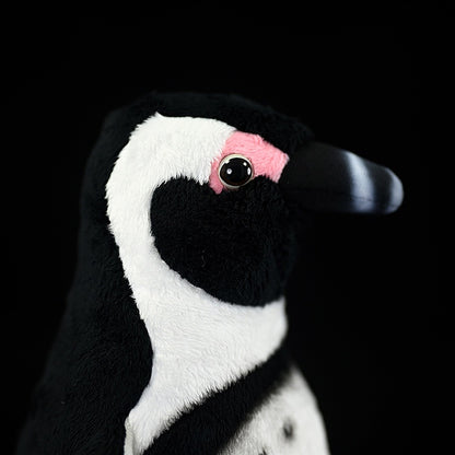 Penguin Plush Toy