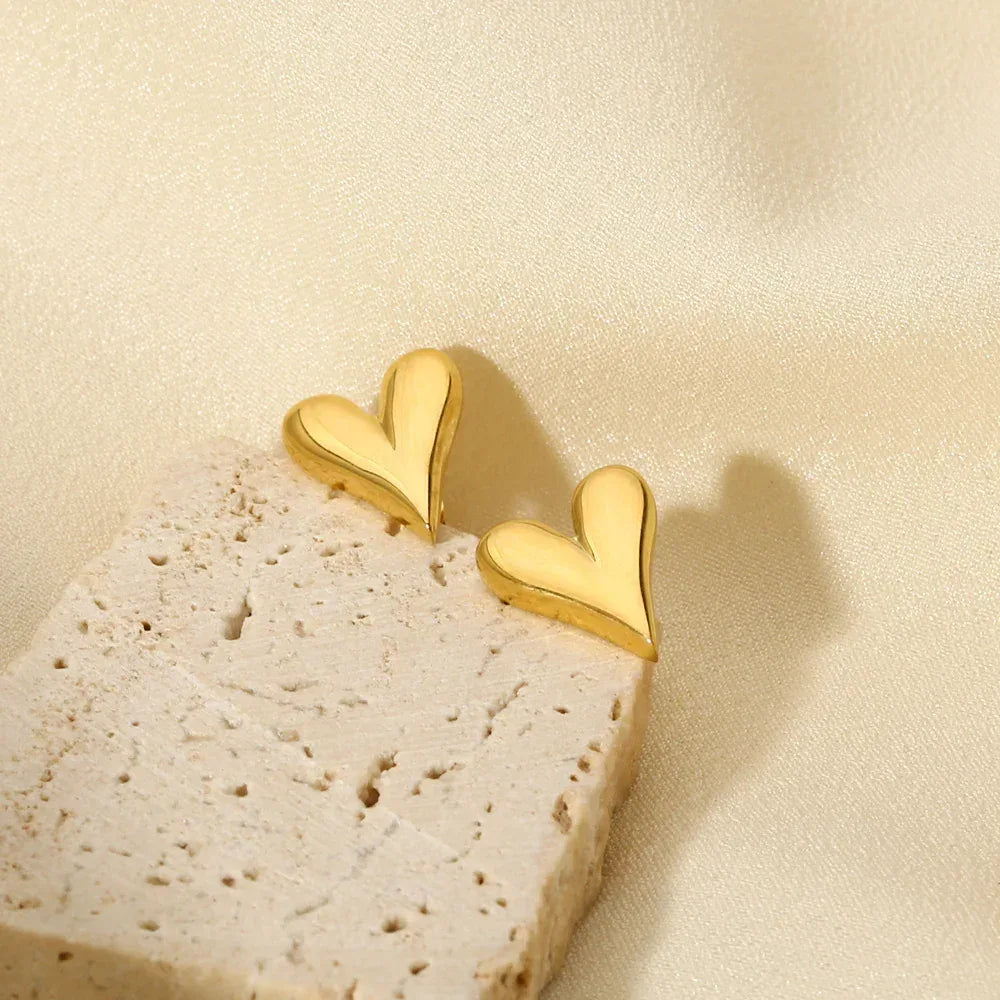 Titanium Steel Heart Studs - Viexta