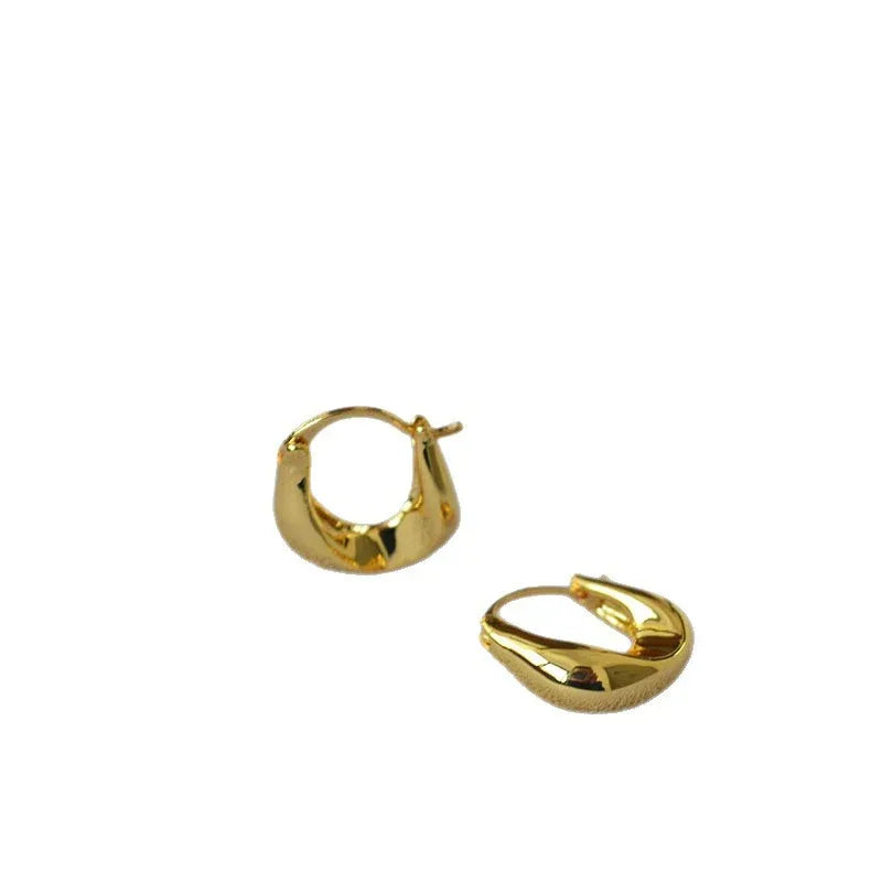 Sleek Trendy Metal Irregular U-shaped Earrings - Viexta