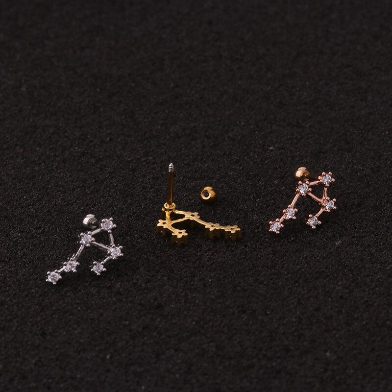 1Pcs Twelve Constellation Cartilage Earring Stainless Steel CZ Stud Earring Cartilage Helix Lobe Screw Back Ear Piercing Jewelry