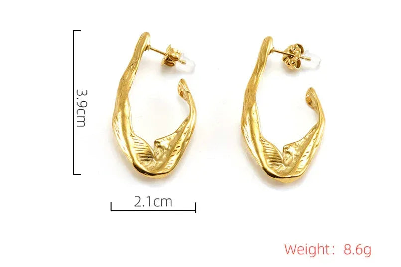 Titanium Steel Irregular Earrings - Viexta