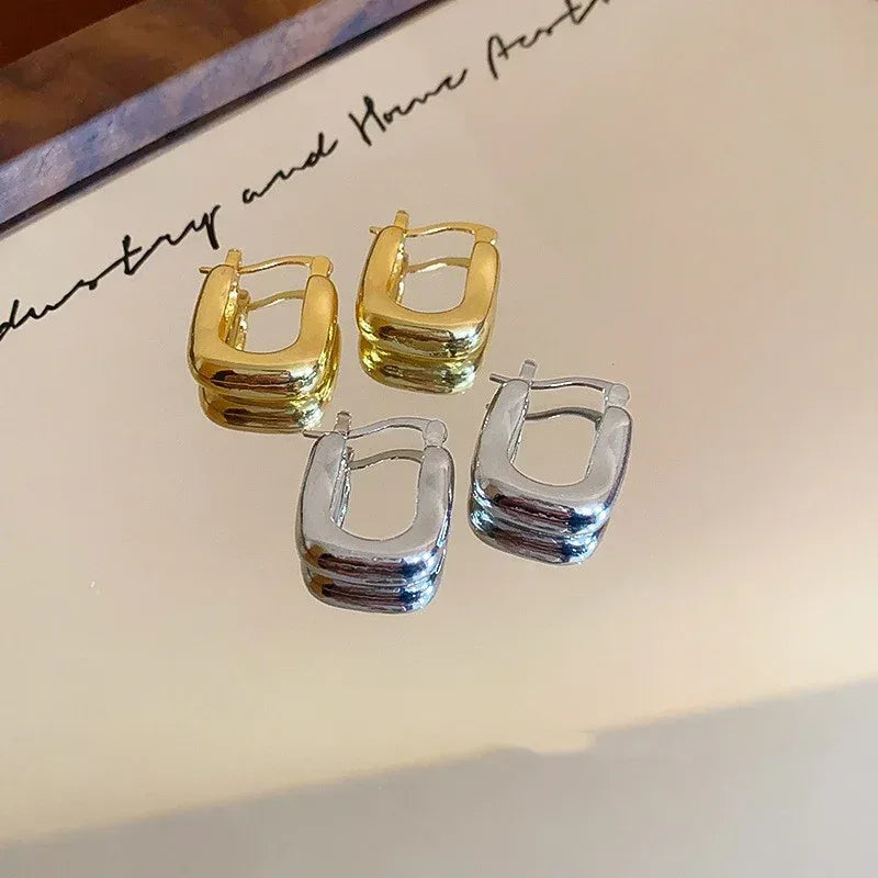 Niche Normcore Earrings - Viexta