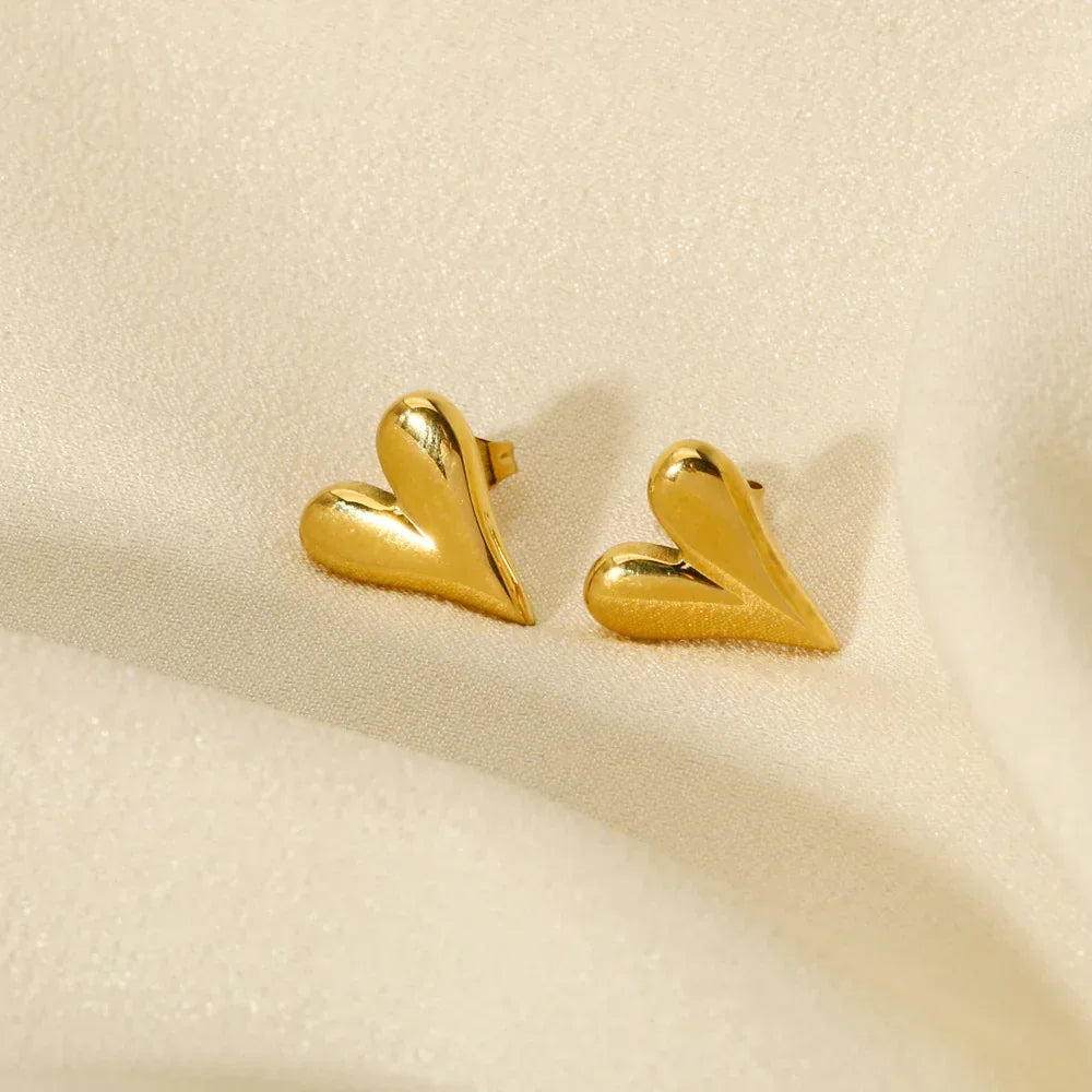 Titanium Steel Heart Studs - Viexta