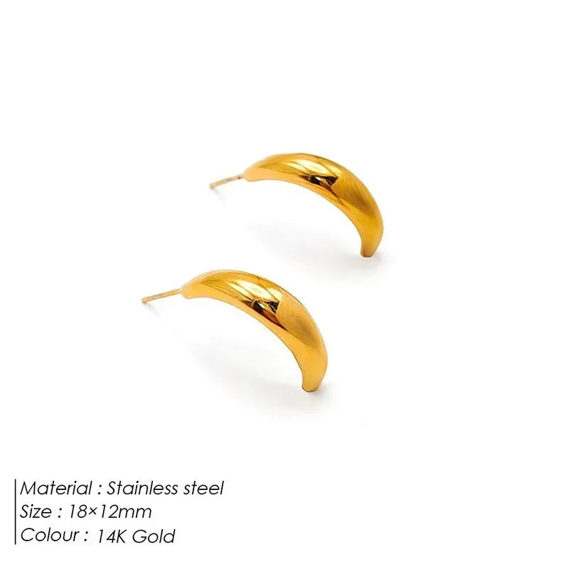 18K Plating Titanium Steel Stainless Steel Stud Earrings - Viexta