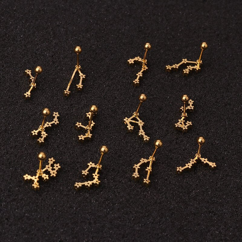 1Pcs Twelve Constellation Cartilage Earring Stainless Steel CZ Stud Earring Cartilage Helix Lobe Screw Back Ear Piercing Jewelry