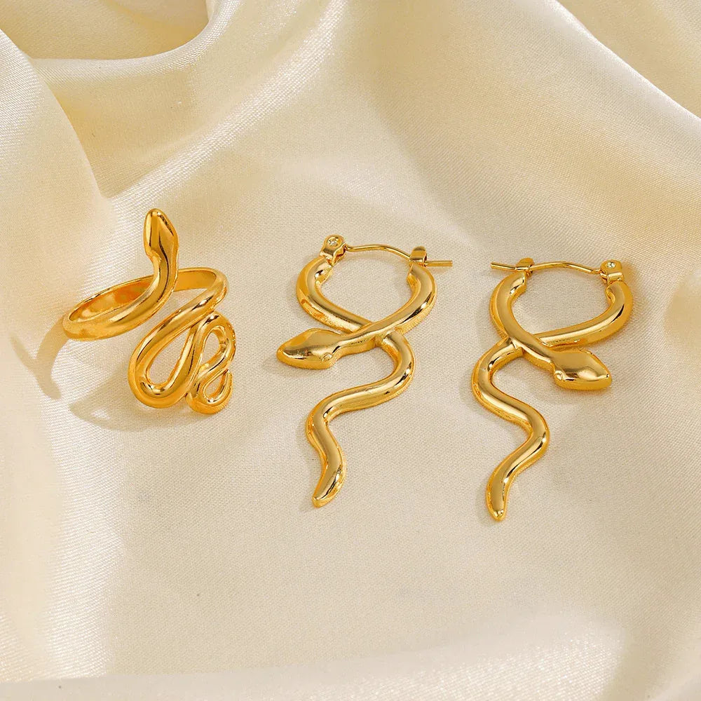 Stainless Steel Snake Earrings - Viexta