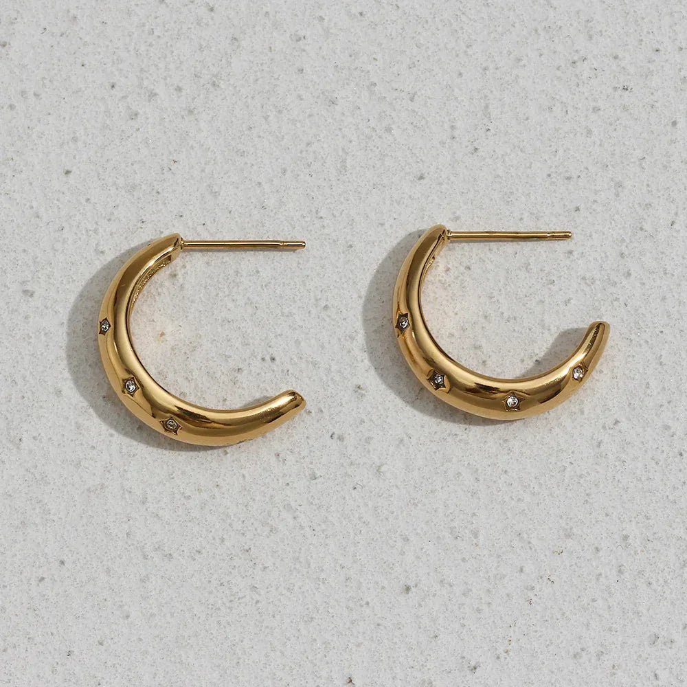 Zircon Moon Earrings - Viexta