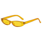 Retro Small Frame Sunglasses - Viexta