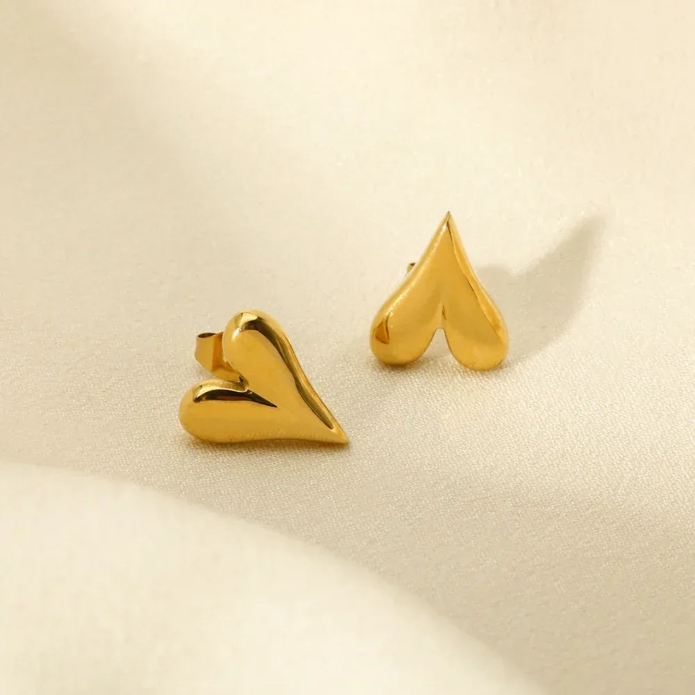 Titanium Steel Heart Studs - Viexta