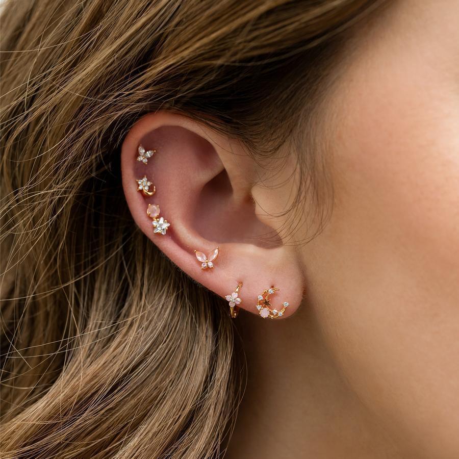 Zircon Star Moon Earrings - Viexta