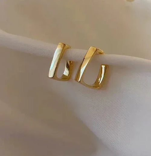 925 Silver Needle Exaggerated Metal Earrings - Viexta