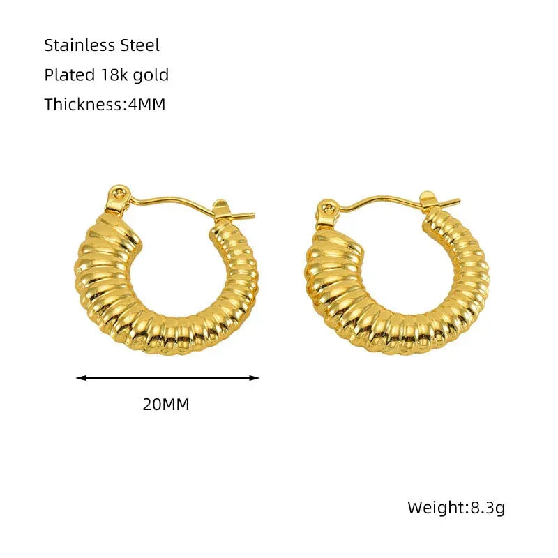 Titanium Steel Round Twist Stud Earrings - Viexta