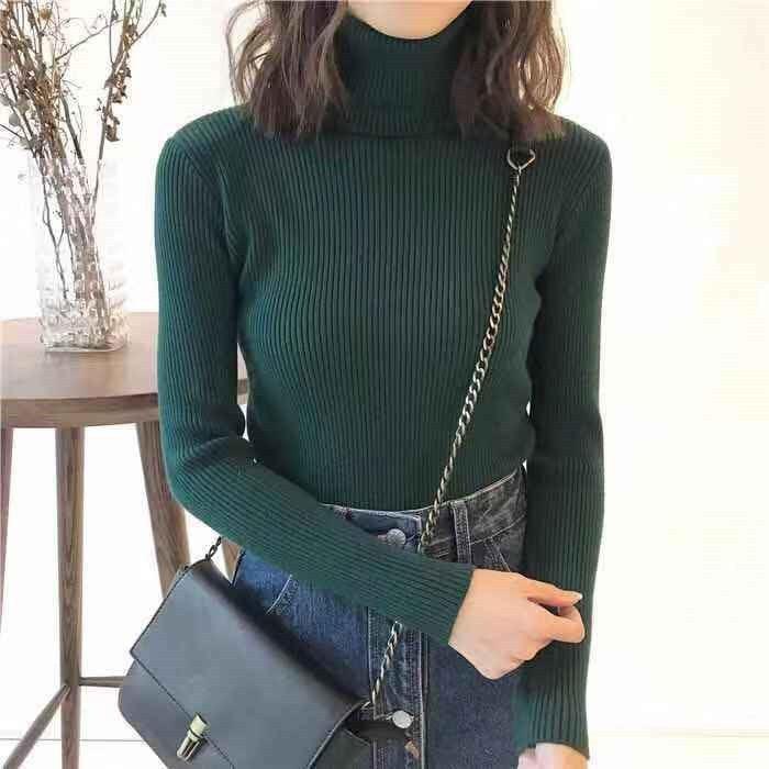 Women's Solid Color Turtleneck Sweater - Viexta