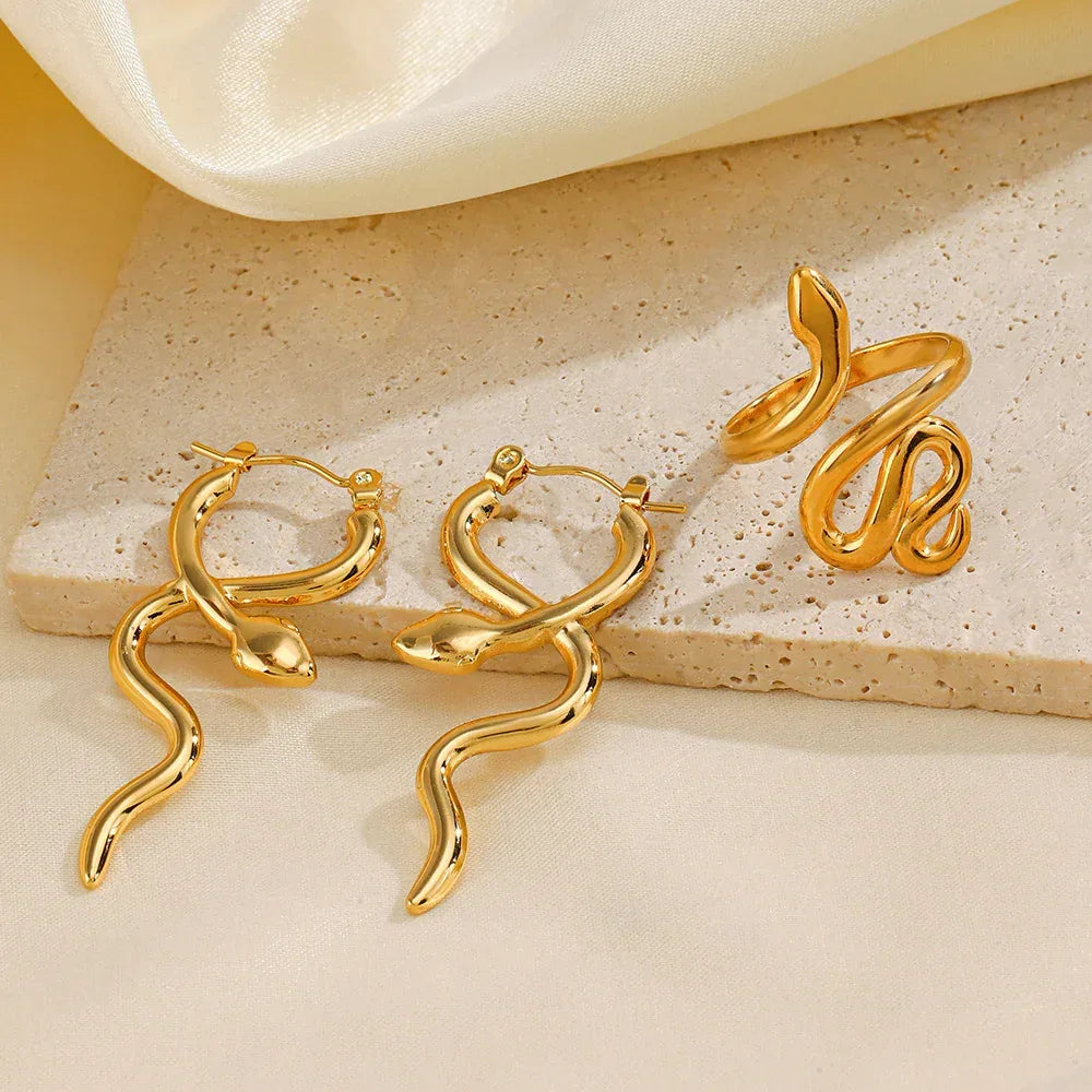 Stainless Steel Snake Earrings - Viexta