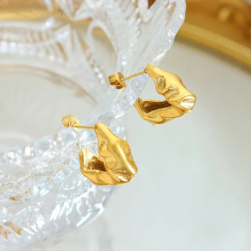 Titanium Steel Irregular Embossed Earrings - Viexta