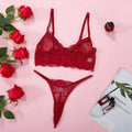 lace-mesh-see-through-sexy-lingerie-suit - Viexta