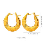 Stainless Steel Hoops - Viexta