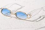 Retro Small Frame Sunglasses For Women - Viexta