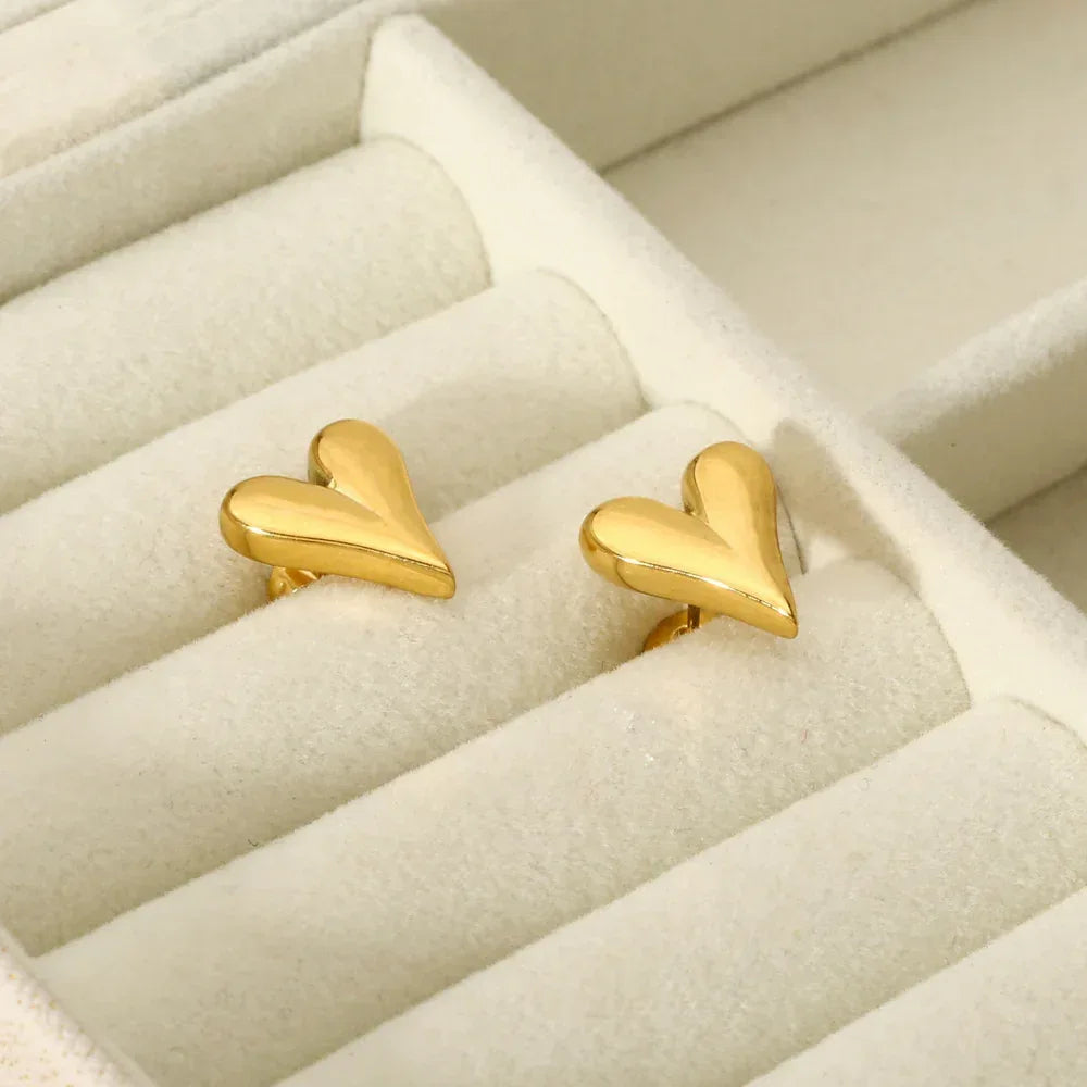 Titanium Steel Heart Studs - Viexta