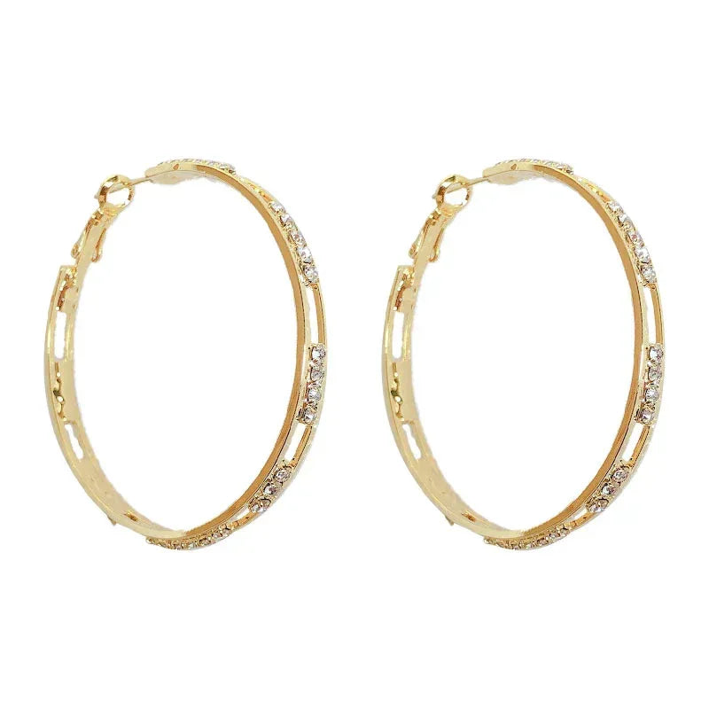 S925 exquisite micro-inlaid zircon net earrings - Viexta