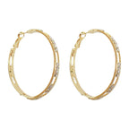 S925 exquisite micro-inlaid zircon net earrings - Viexta