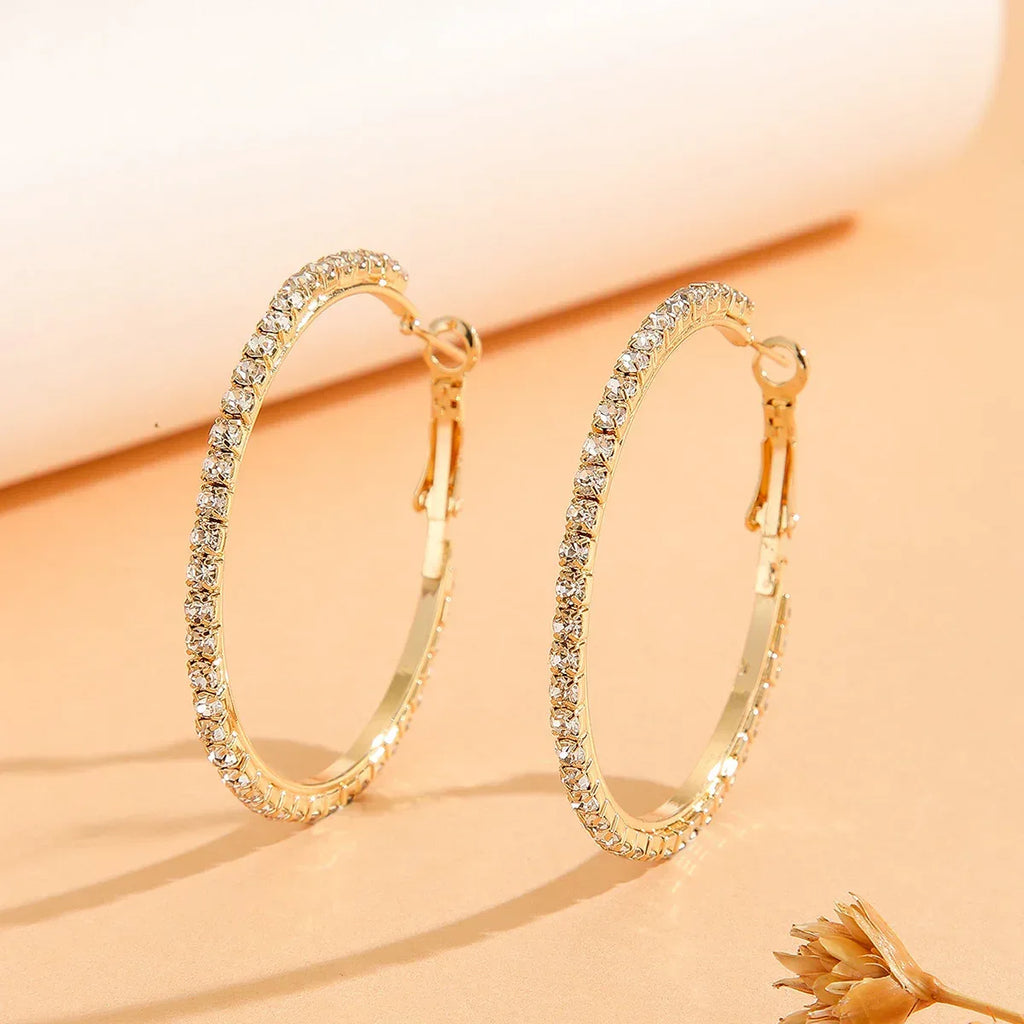 Zircon Inlaid Princess Earrings - Viexta