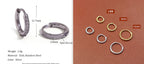 Rounded Edge Zircon Earrings - Viexta