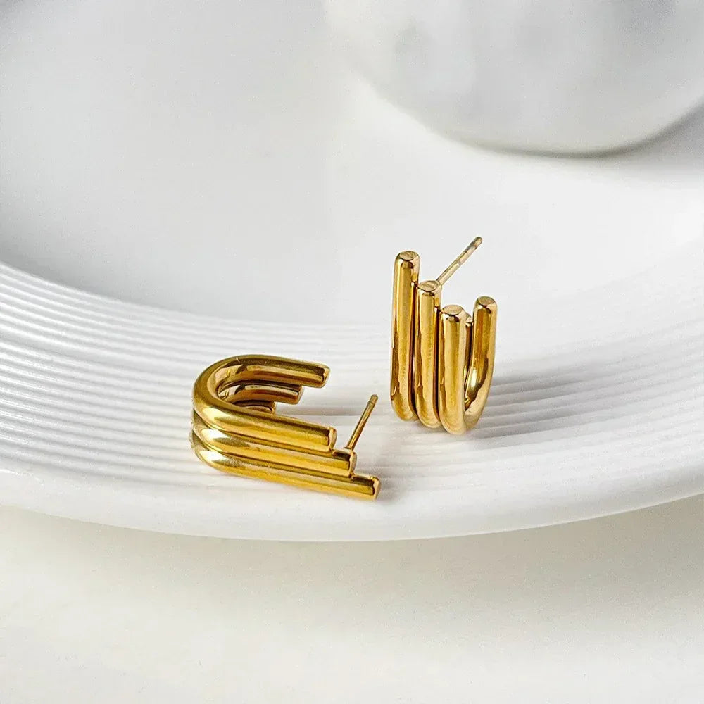 Little Wing Stainless Steel Earrings - Viexta