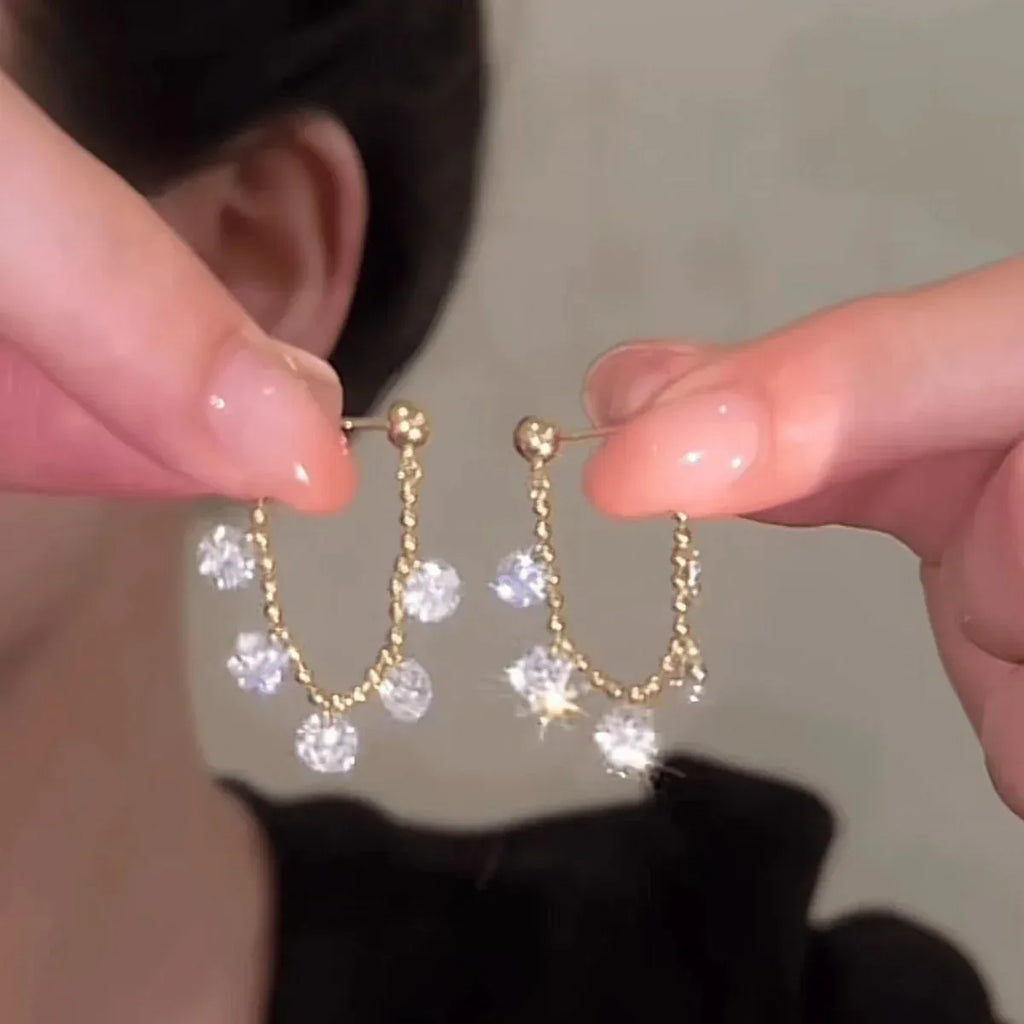 925-silver-needle-shiny-diamond-tassel-earrings - Viexta