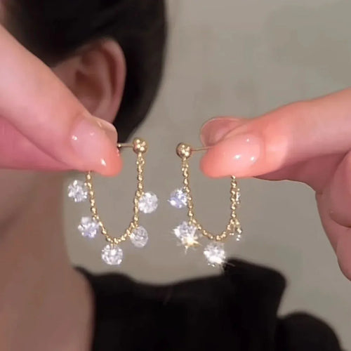 925-silver-needle-shiny-diamond-tassel-earrings - Viexta