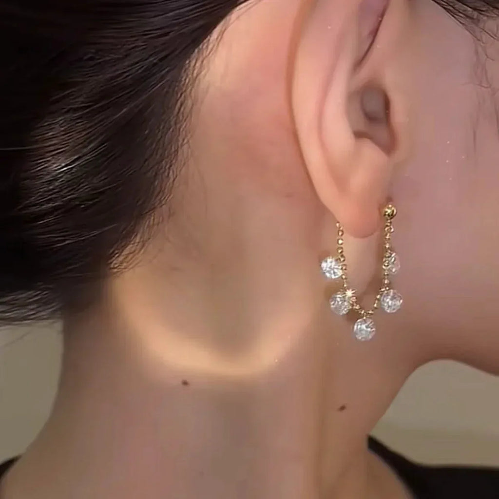 925-silver-needle-shiny-diamond-tassel-earrings - Viexta