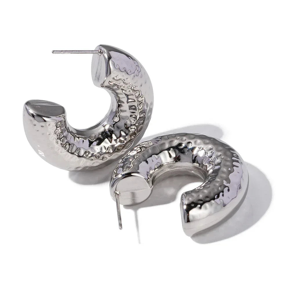 Stainless Steel Curvy Niche Hoops - Viexta