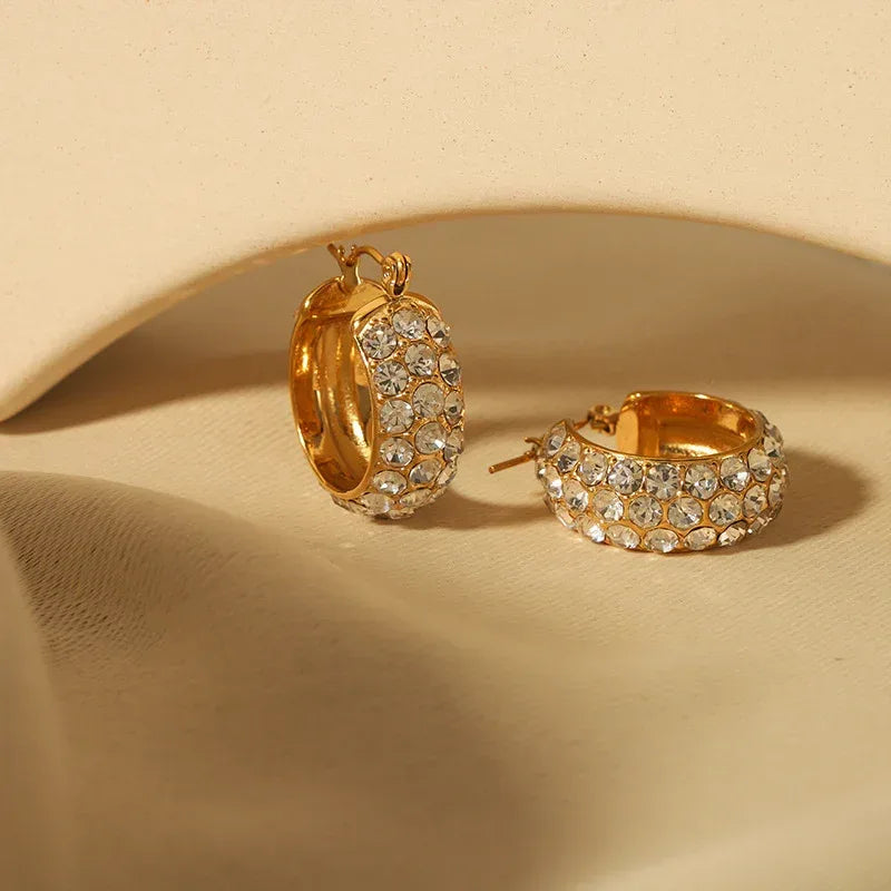 Stainless Steel Earrings With Diamonds - Viexta