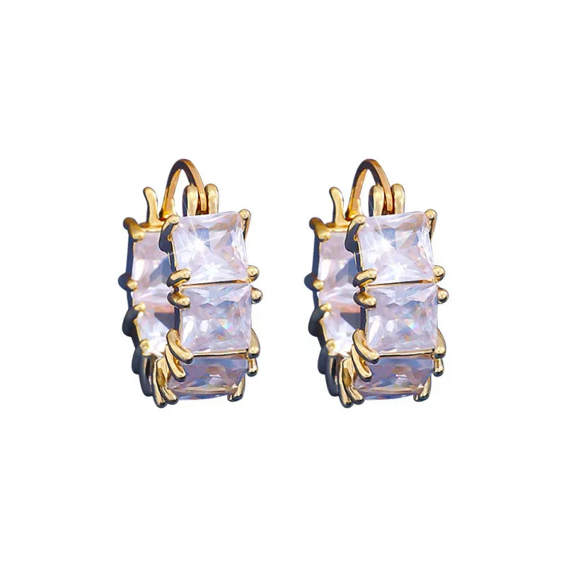 Micro-inlaid Square Zircon Earrings - Viexta