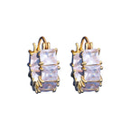 Micro-inlaid Square Zircon Earrings - Viexta