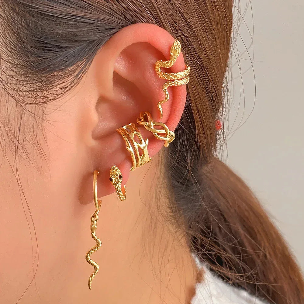 5piece Clip Earrings - Viexta