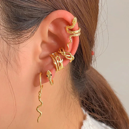 5piece Clip Earrings - Viexta