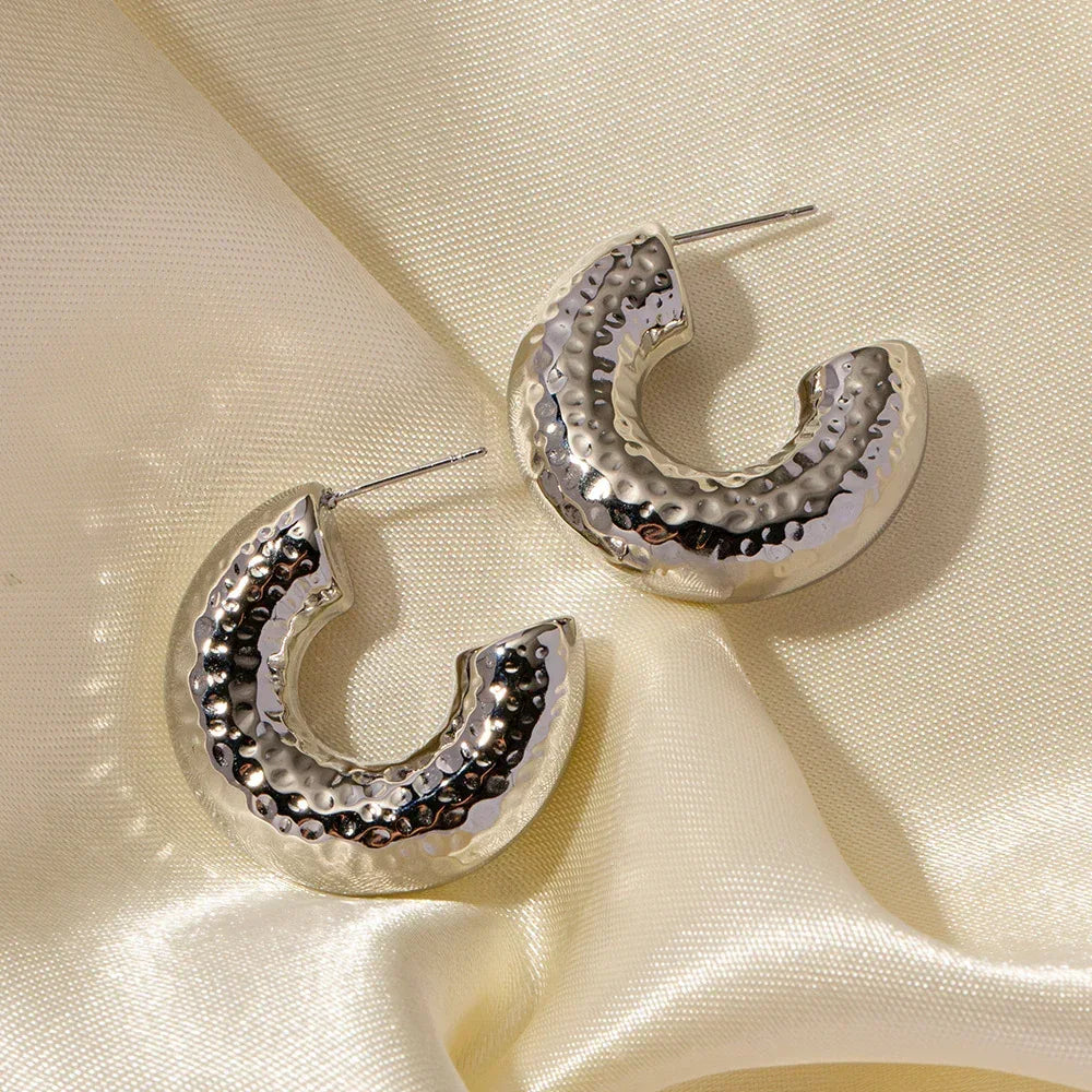 Stainless Steel Curvy Niche Hoops - Viexta