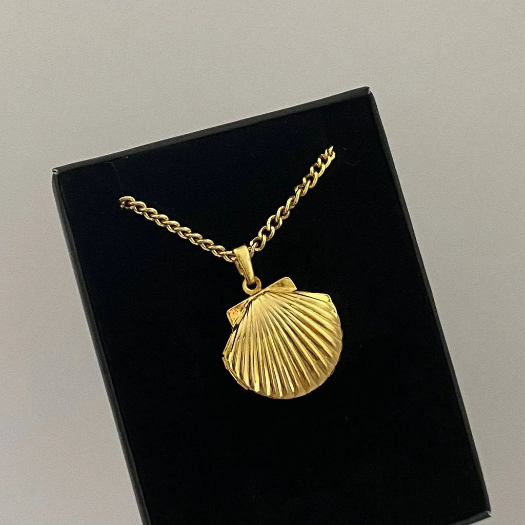 Shell Titanium Steel Album Necklace - Viexta