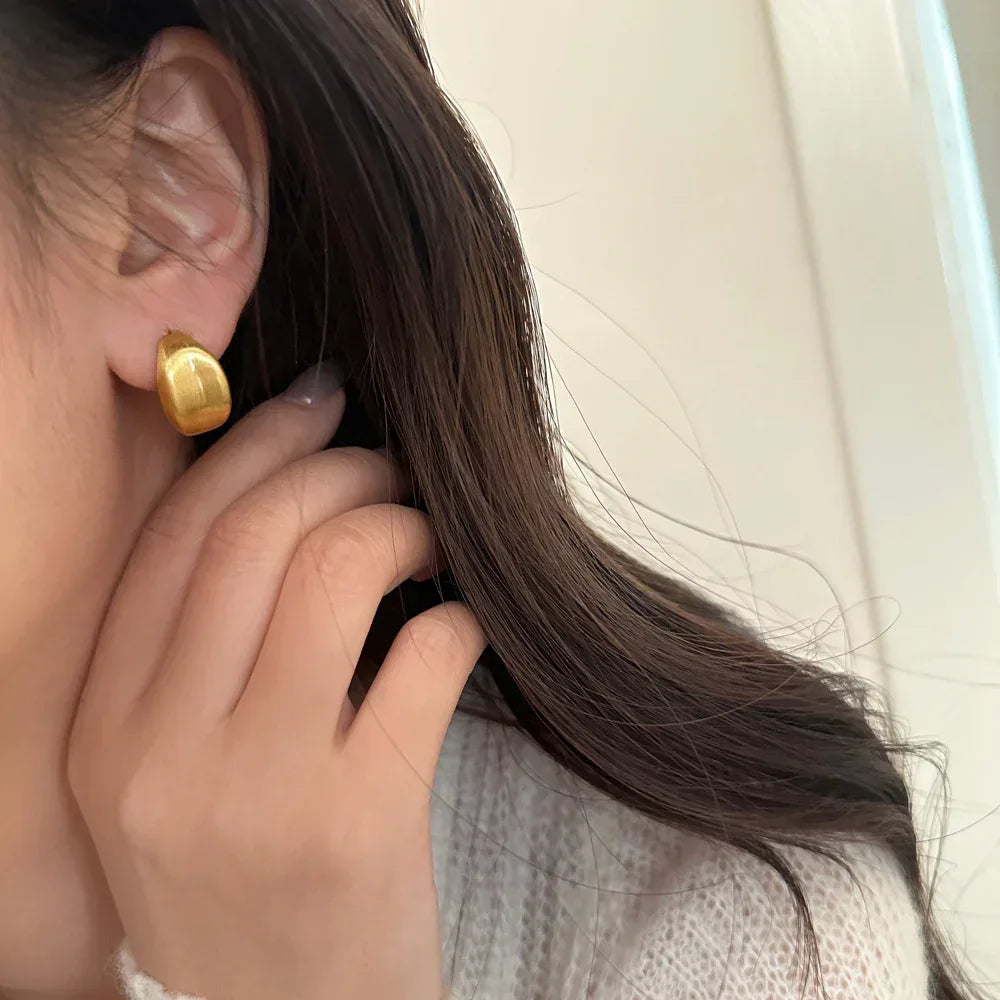 Brushed Metal Stud Earrings - Viexta