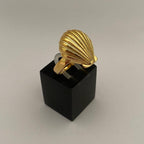 Shell Titanium Steel Album Necklace