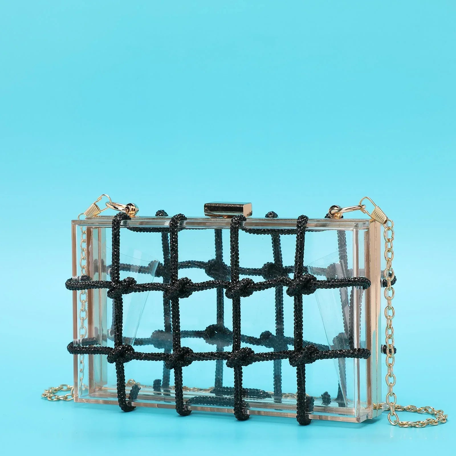 Ladies Shiny Acrylic Transparent Bag - Viexta