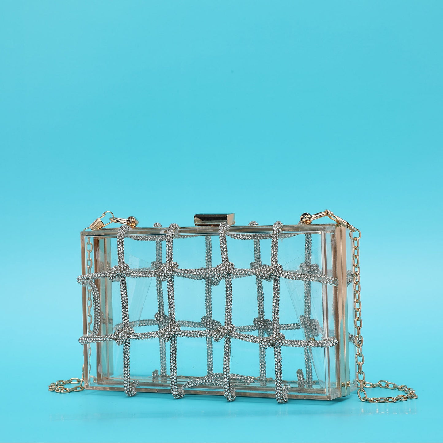 Ladies Shiny Acrylic Transparent Bag