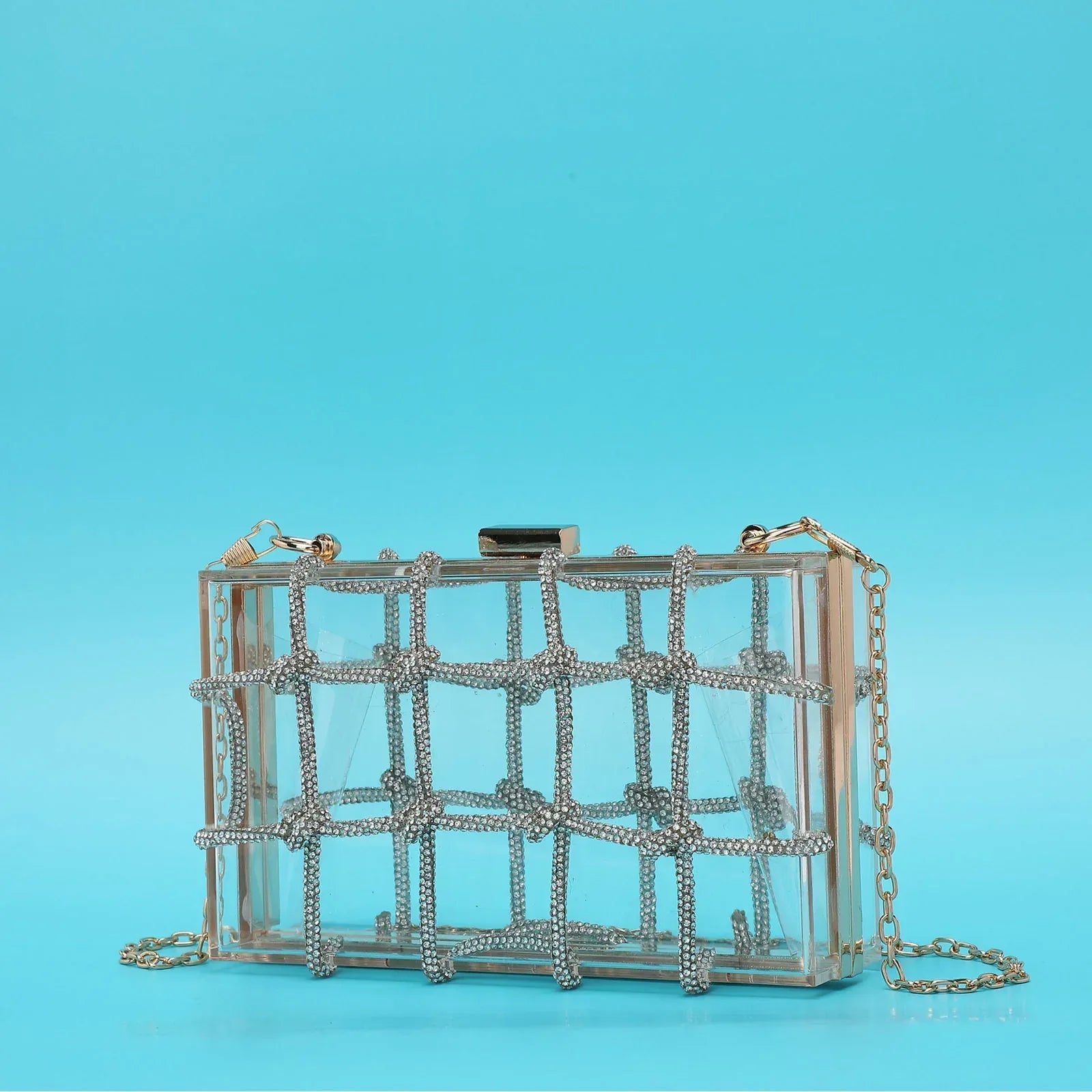 Ladies Shiny Acrylic Transparent Bag - Viexta