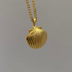 Shell Titanium Steel Album Necklace
