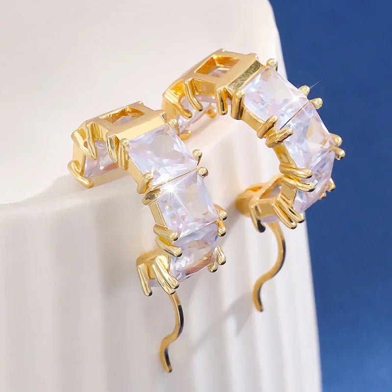 Micro-inlaid Square Zircon Earrings - Viexta