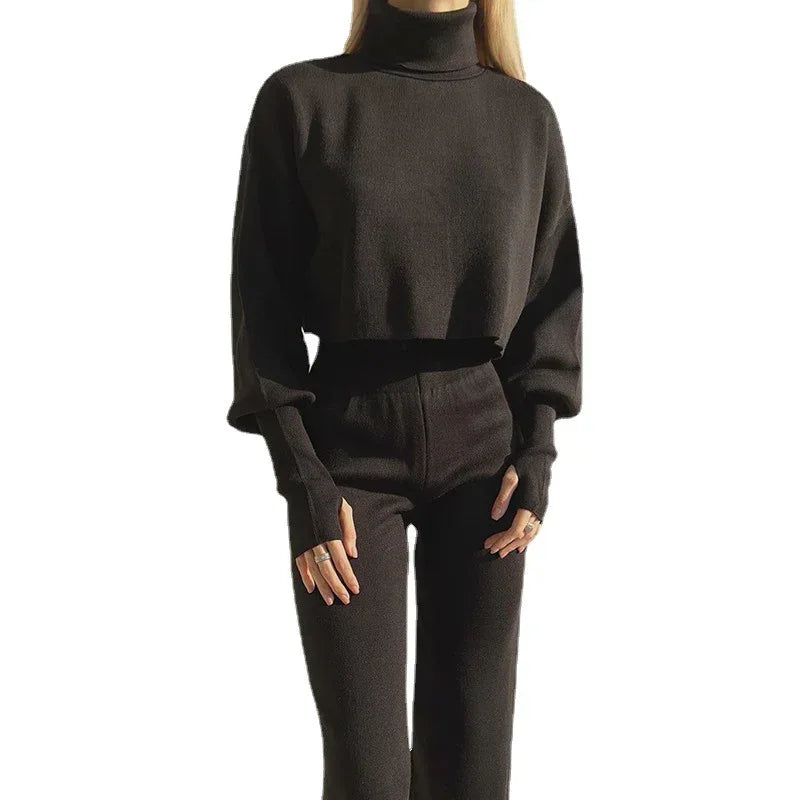 Autumn And Winter New European And American Turtleneck Loose Long Sleeve Top Female Casual Fashion Set - Viexta